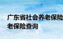 广东省社会养老保险查询 广东省社会个人养老保险查询