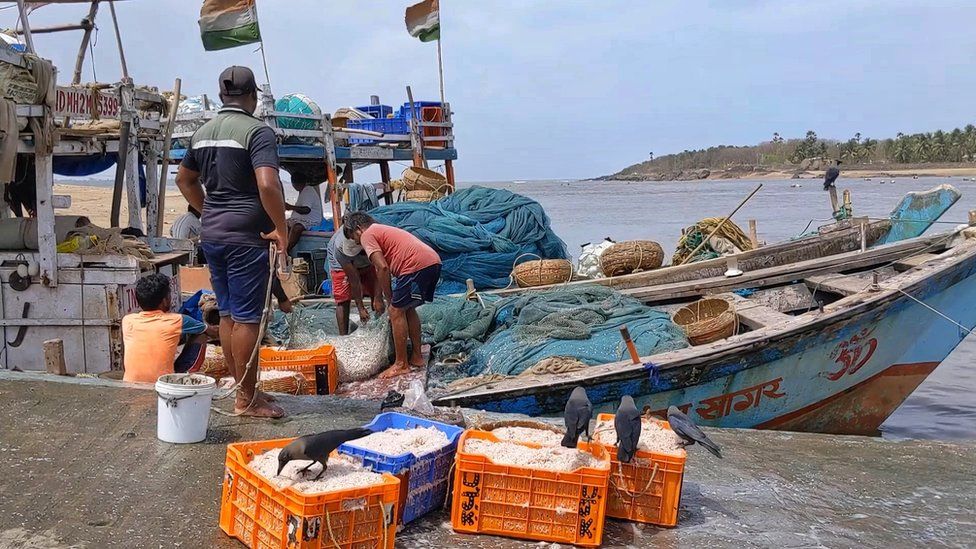 在孟买海岸看到的渔民