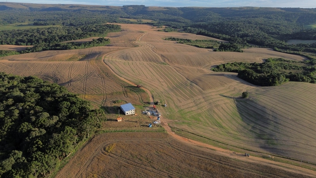 2023年4月25日，巴西蓬塔格罗萨，大豆成熟，田野一幅繁忙的收割景象。图自IC Photo